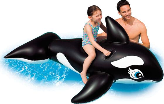 Whale INTEX 58561 - Image 5