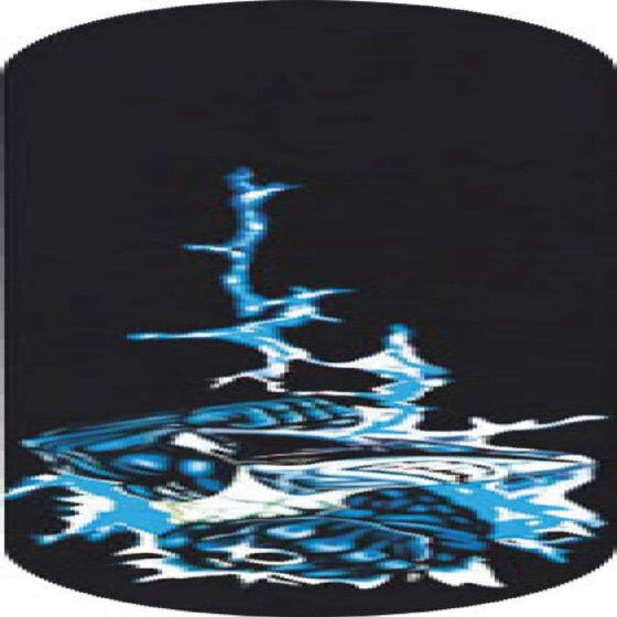 Τροχοσανίδα Skateboard AMILA Skatebomb Shark 48941 - Image 2