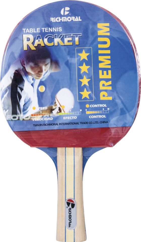 Ρακέτα Ping Pong S200 (42516)