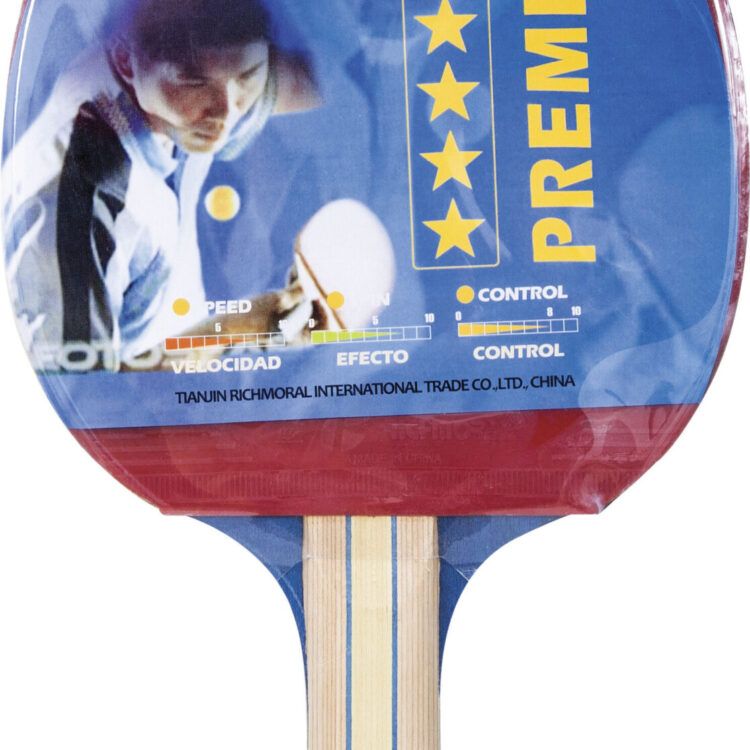Ρακέτα Ping Pong S200 (42516)