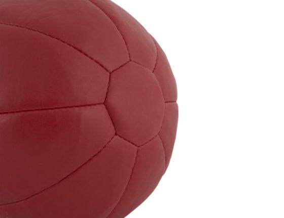 Μπάλα AMILA Medicine Ball PU 5kg - Image 2