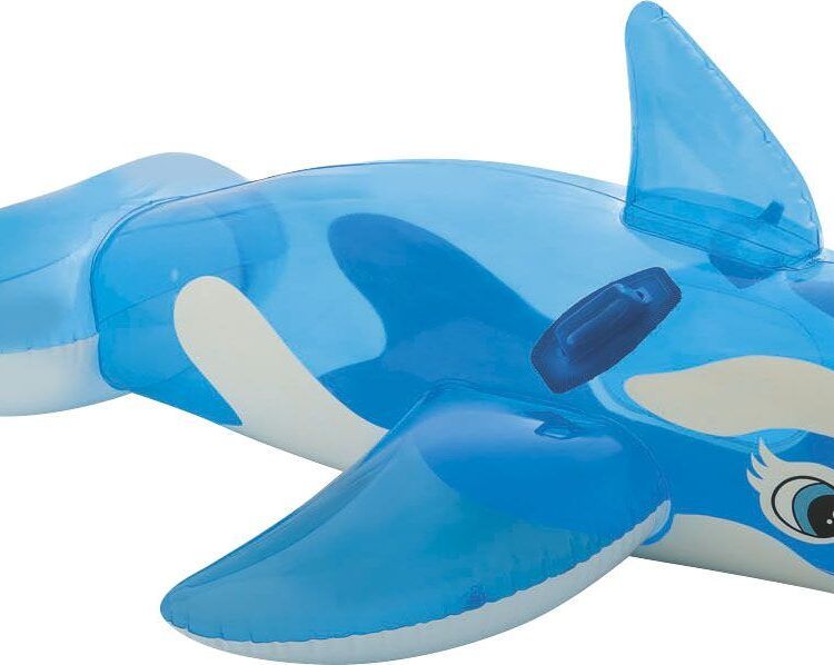 Lil' Whale INTEX 58523