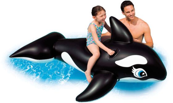 Whale INTEX 58561