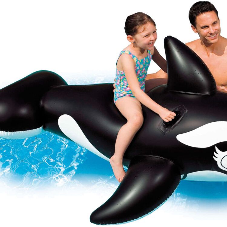 Whale INTEX 58561