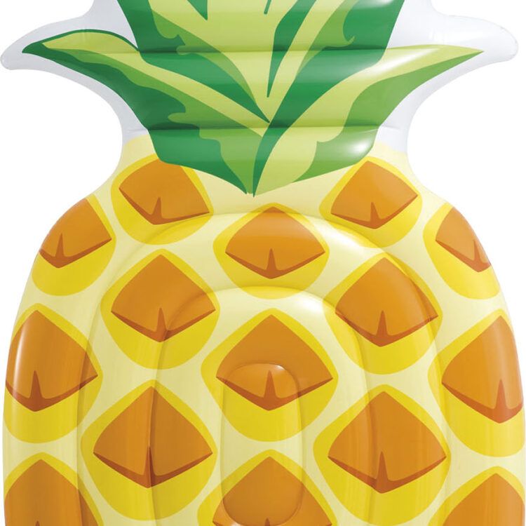 Pineapple Mat INTEX 58761