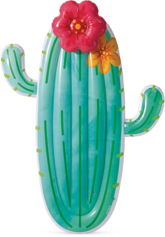 Στρώμα Θαλάσσης INTEX Cactus Float 58793