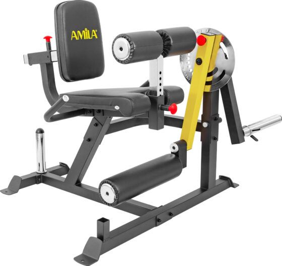 Μηχάνημα Leg Curl / Leg Extension AMILA AX1030 93703
