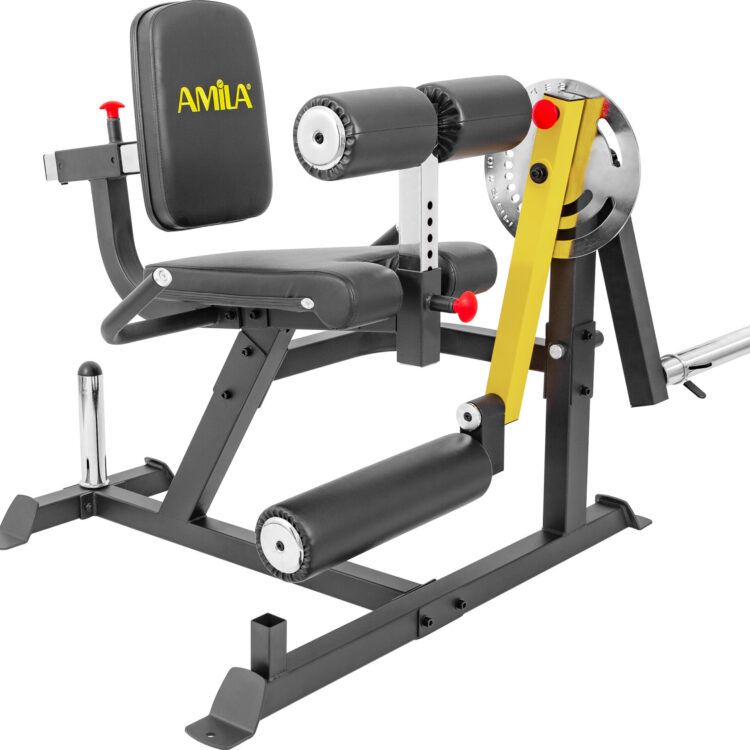 Μηχάνημα Leg Curl / Leg Extension AMILA AX1030 93703