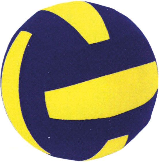Μπάλα Βόλεϋ Neoprene AMILA 99527