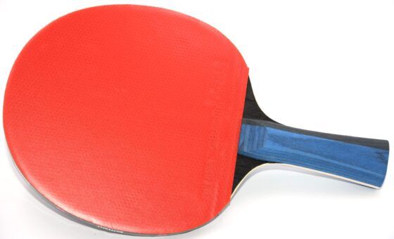 Ρακέτα Ping Pong Butterfly Timo Boll Gold 97202 - Image 6