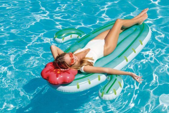 Στρώμα Θαλάσσης INTEX Cactus Float 58793 - Image 2