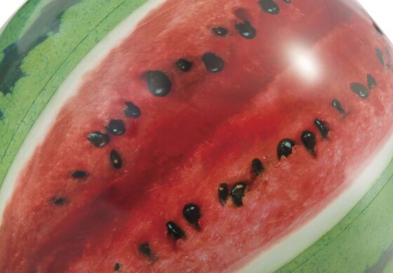 Watermelon Ball Intex 58075 - Image 4