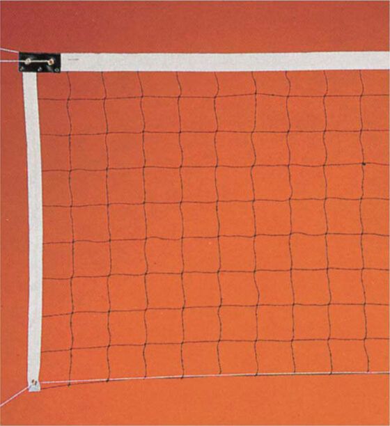 Δίχτυ Volley 2,5mm με Ξύλο Amila 44925