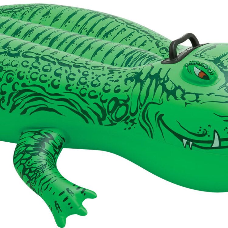 Lil' Gator INTEX 58546