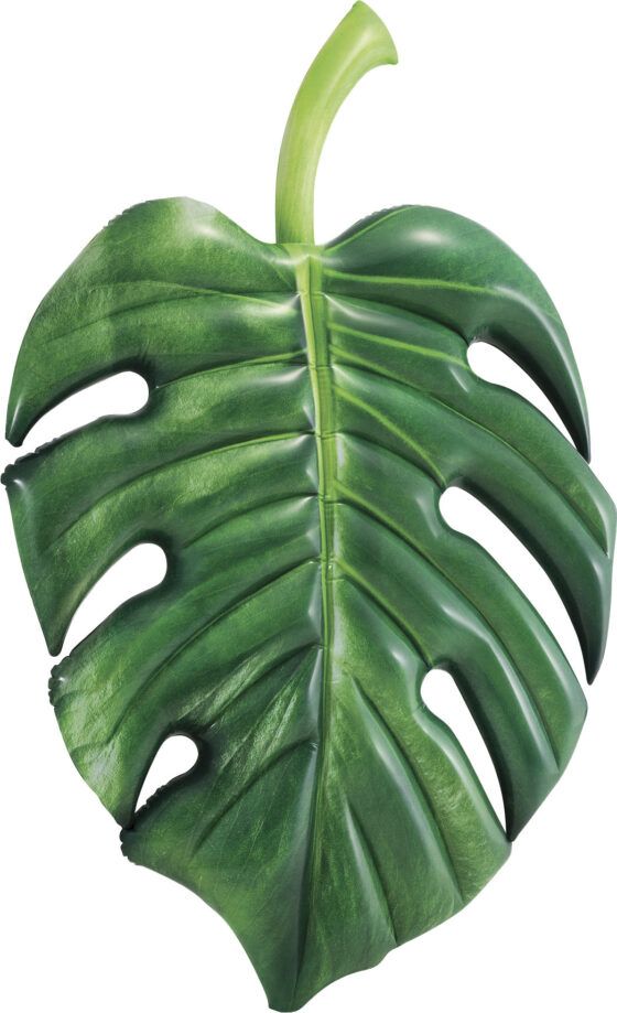 Φουσκωτό Palm Leaf Intex Κωδ.58782