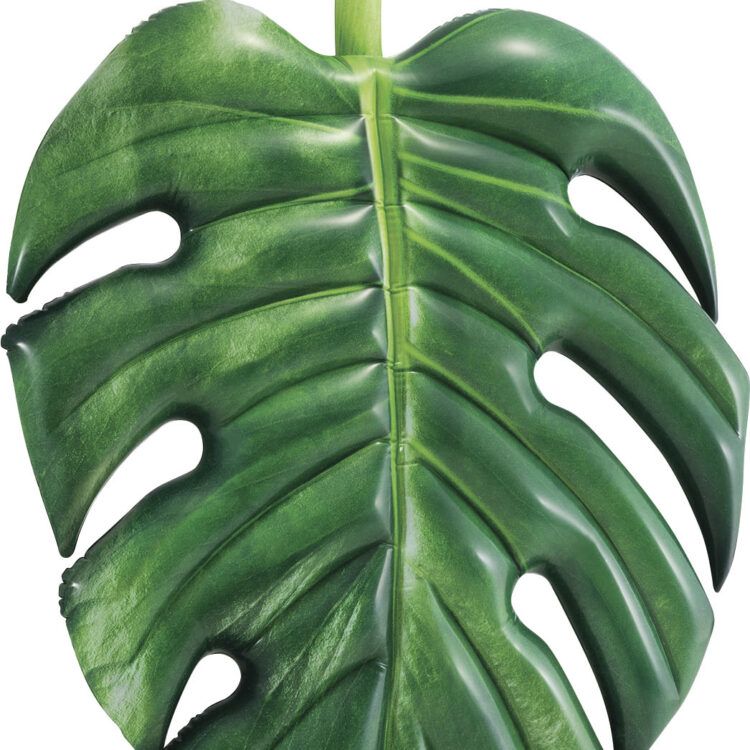 Φουσκωτό Palm Leaf Intex Κωδ.58782
