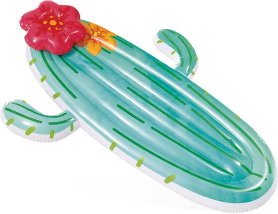 Στρώμα Θαλάσσης INTEX Cactus Float 58793 - Image 3