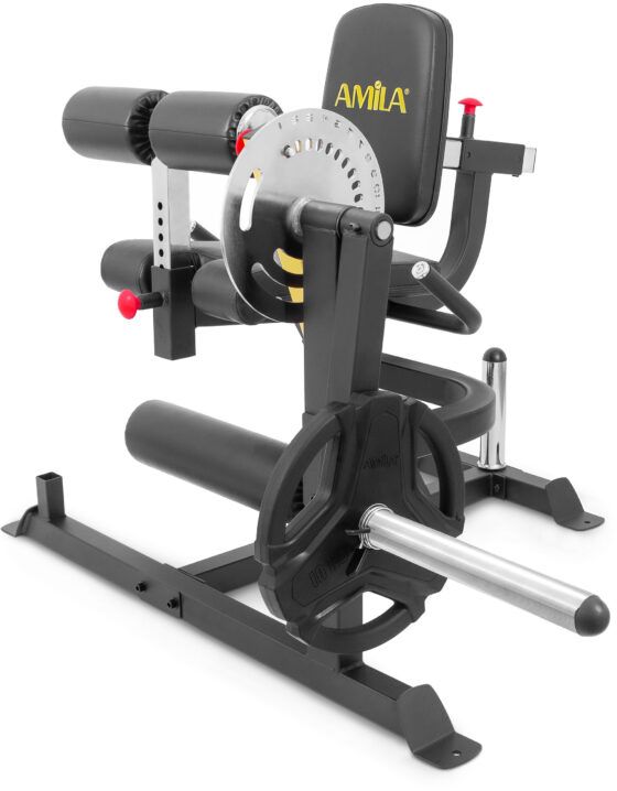 Μηχάνημα Leg Curl / Leg Extension AMILA AX1030 93703 - Image 2