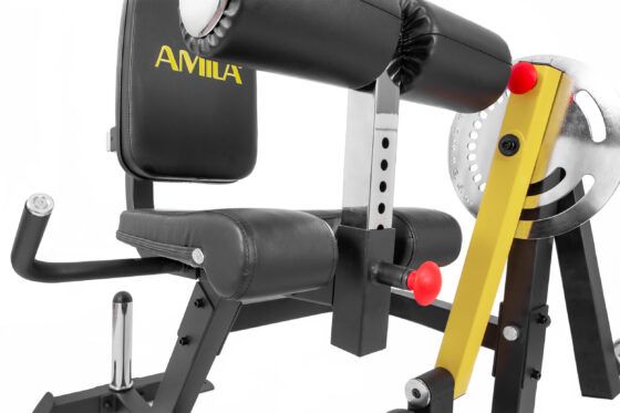 Μηχάνημα Leg Curl / Leg Extension AMILA AX1030 93703 - Image 3