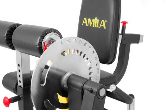 Μηχάνημα Leg Curl / Leg Extension AMILA AX1030 93703 - Image 4